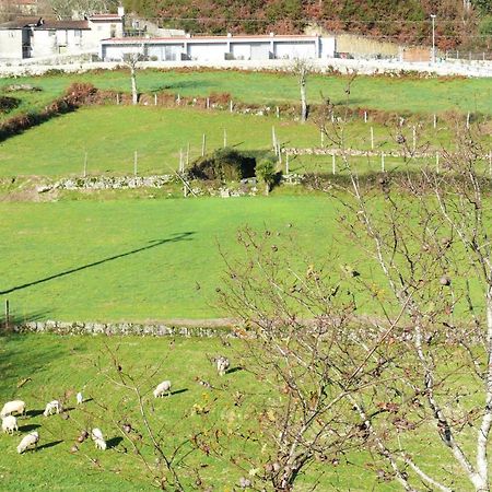 Villa Campo Seco Vieira do Minho Exterior foto